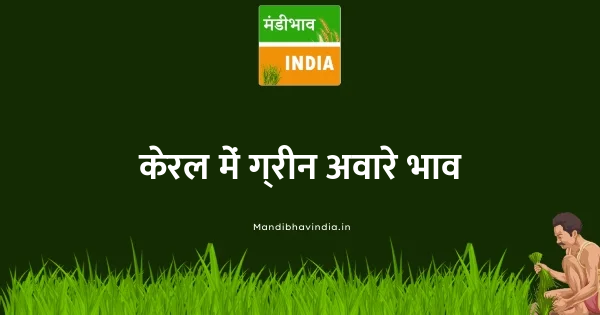 Green Avare (W) भाव